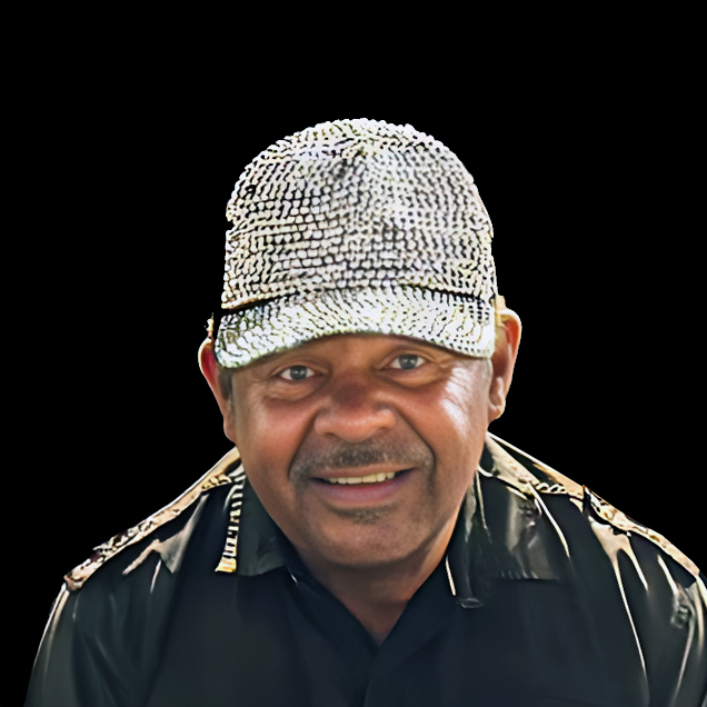 Vernal Archie - Lead Guitar of The Franchise Players Band